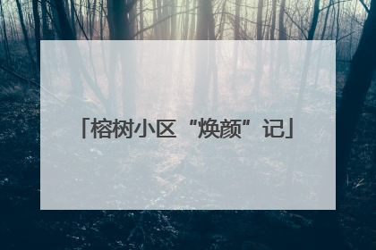 榕树小区“焕颜”记
